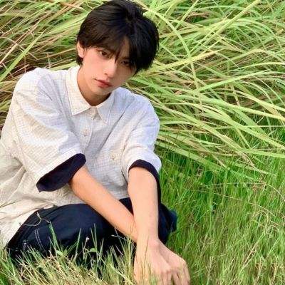 逍遥仙途华为手游下载